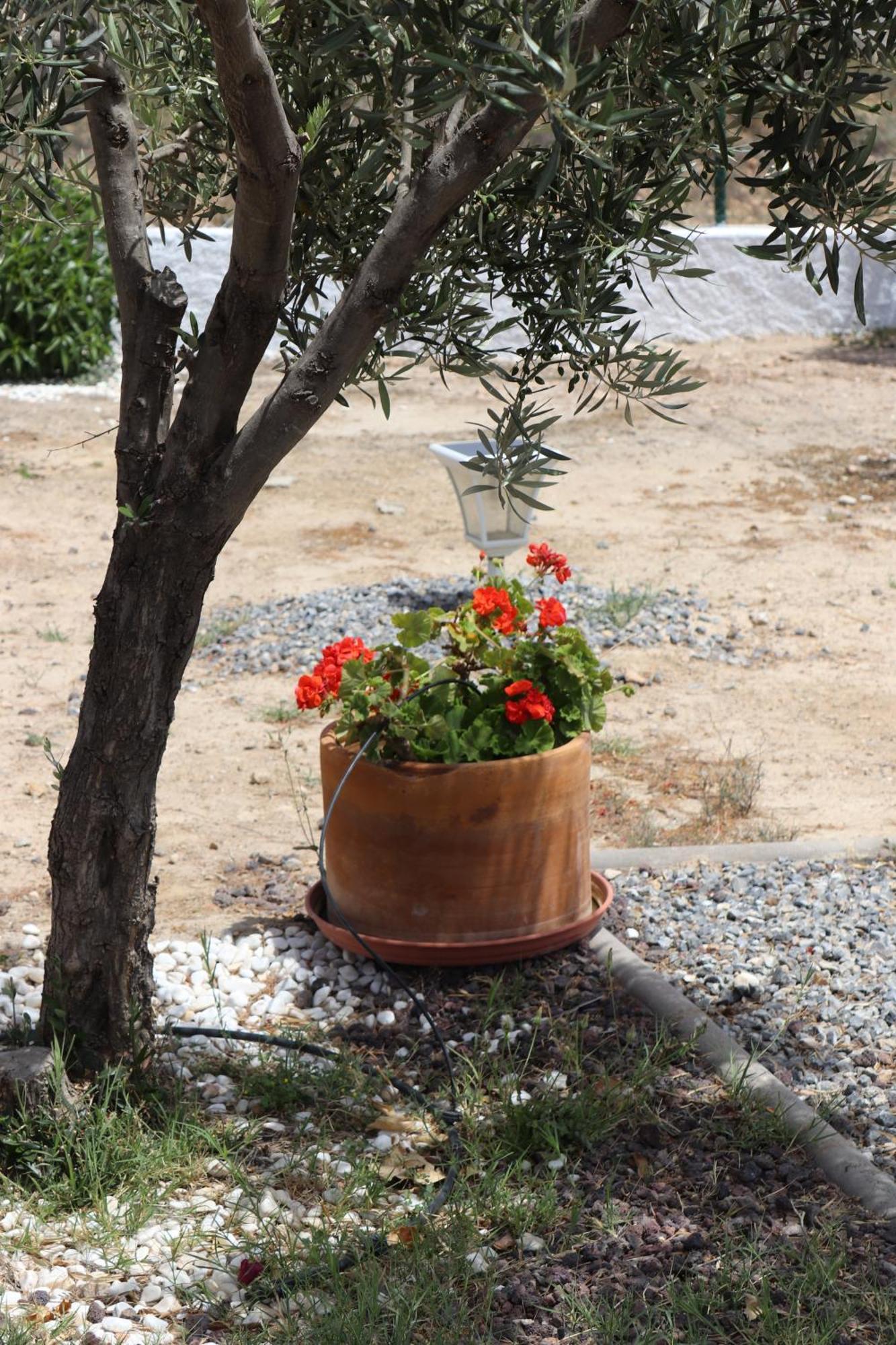 Cortijo El Pinar 1 Villa Níjar Eksteriør billede