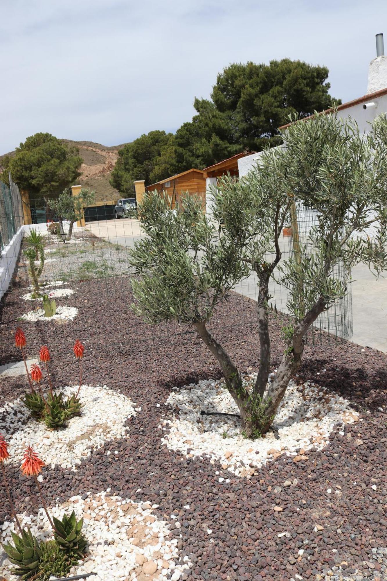 Cortijo El Pinar 1 Villa Níjar Eksteriør billede